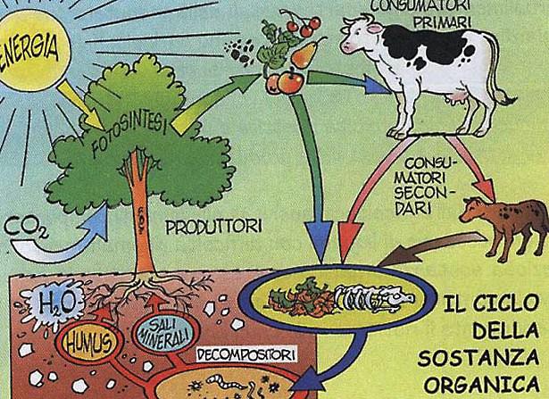 Una famiglia media (2 persone) produce a Milano 2,8 kg/giorno di rifiuti urbani ( circa 1000/anno).