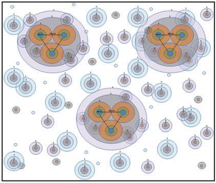 Figura 8 - Stima dell accrescimento delle zolle all interno dell area di 10X10 m. Ogni cerchio rappresenta un anno di accrescimento.