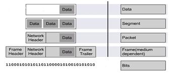 parte «software» o meglio di linguaggio tra i componenti di una rete.