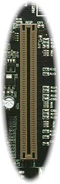 AGP 4X (Porta Grafica Accelerata) Questa scheda madre supporta l AGP 4X.