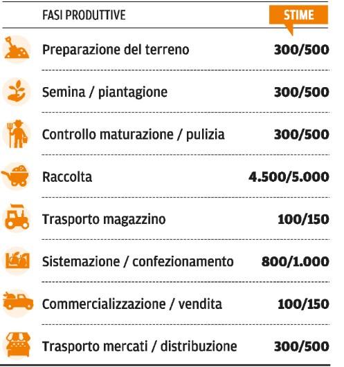 507 Lettori Ed. I 2016: 169.