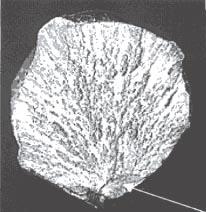 forti gradienti termici che induce, tensioni residue e variazioni delle caratteristiche meccaniche locali del materiale, sia nella zona fusa che