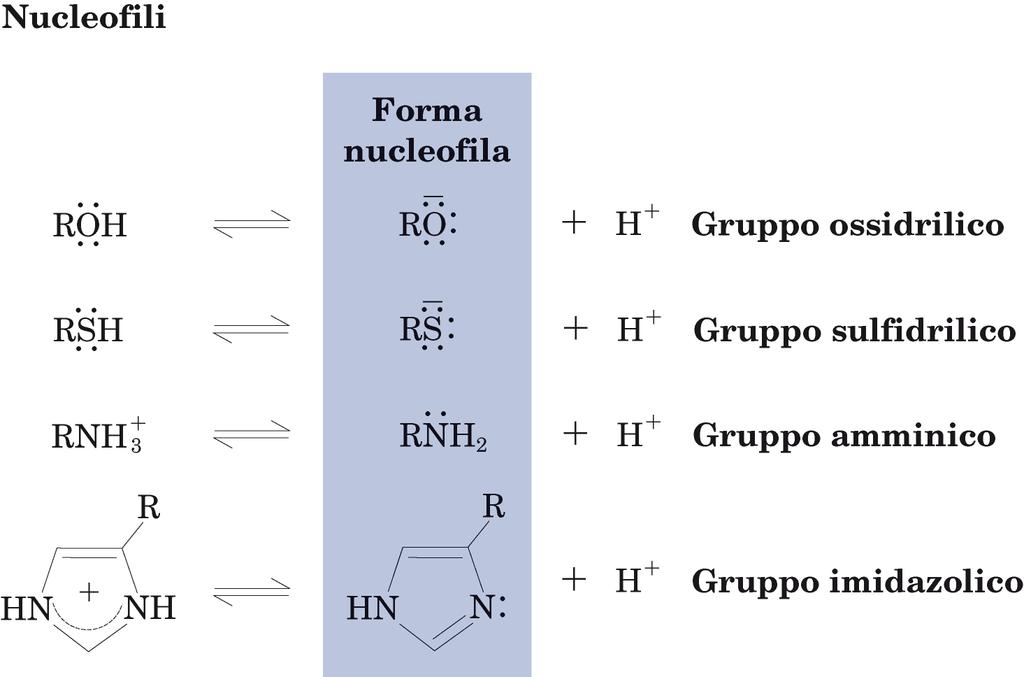 Gruppi nucleofili