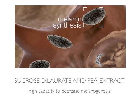 melanosomi. Ciò comporta l inibizione dei passaggi chiave della sintesi della melanina e del processo di pigmentazione.