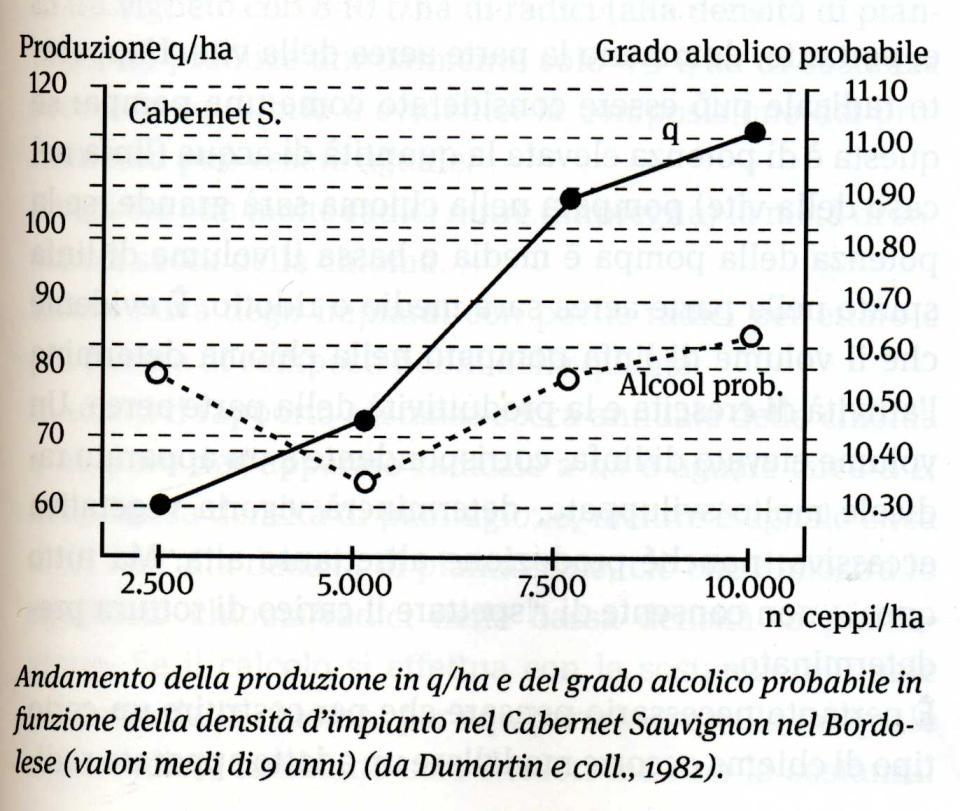 Distanza di piantagione