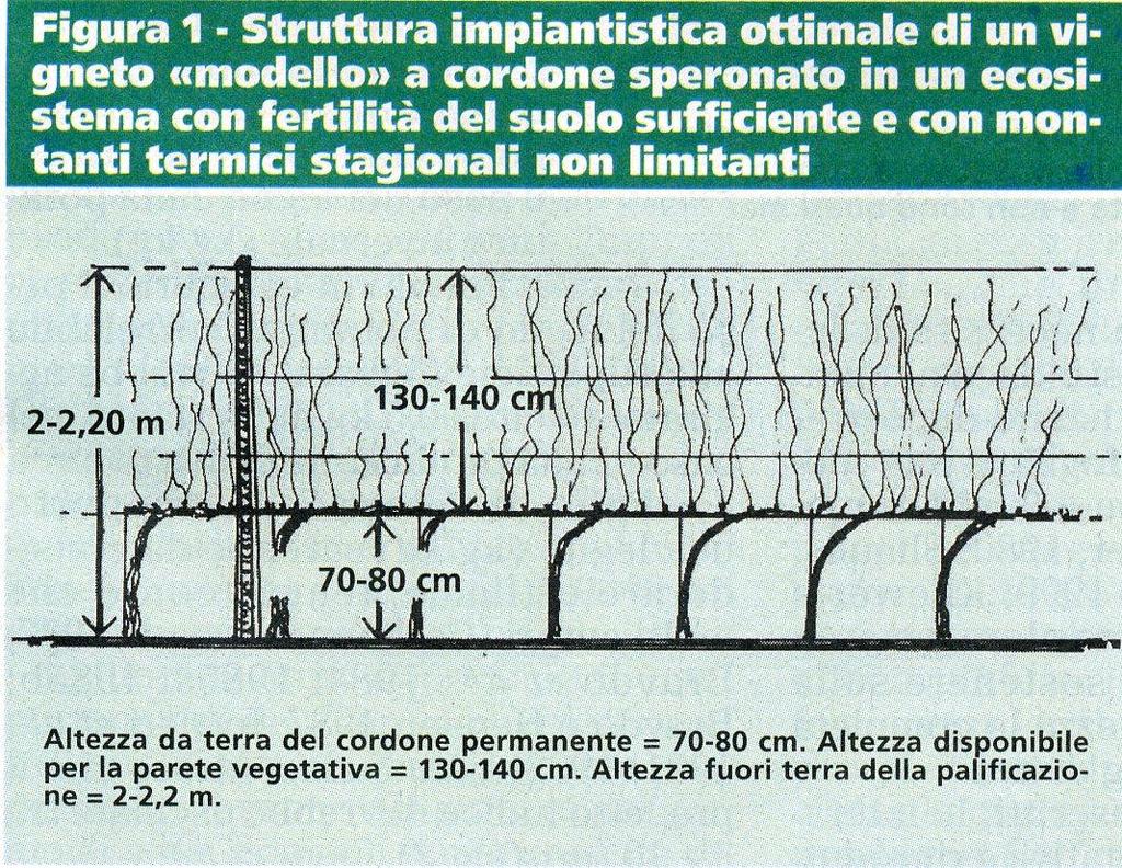 Distanza di