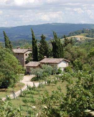 Gli obiettivi Sviluppo e valorizzazione della Collezione di San Lorenzo Recupero, impianto e conservazione delle varietà a San Lorenzo La collezione frutteto Archeologia Arborea di san Lorenzo di