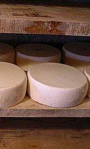 FORMAGGELLA Tipo Materie grasse formaggio a pasta semicotta prodotto con latte di vacca intero. oltre il 45% sulla sostanza secca.
