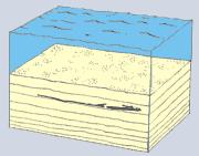 Di conseguenza il numero di fossili di organismi acquatici risulta nettamente superiore rispetto a quello di organismi terrestri.