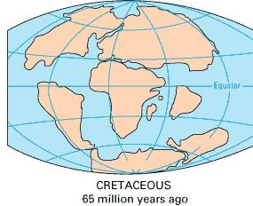 Cambriano 570 Esisteva un unico Ordoviciano 495 continente Pangea circondato da un Siluriano 418 grosso oceano Devoniano 400 Pantalassa Carbonifero 360 Permiano 290 Organismi unicellulari e primi