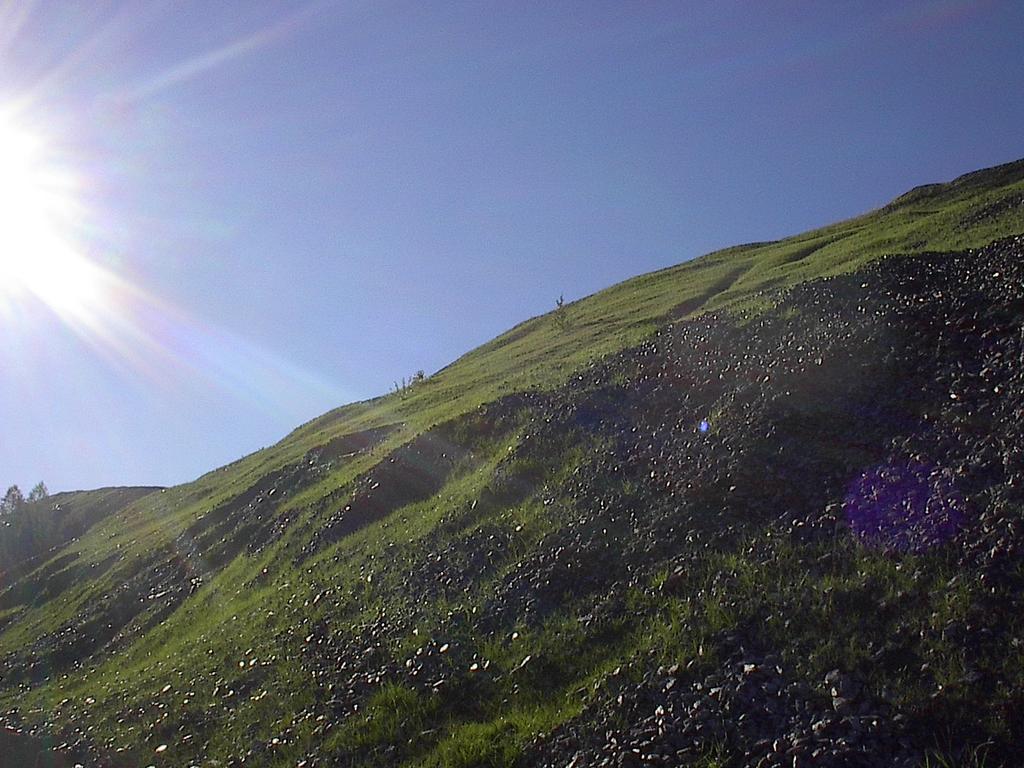 DISCARICA LAPIDEA VERSANTE CORIO Rivegetazione