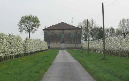 pregio 4 Villa Colombara con corte rurale