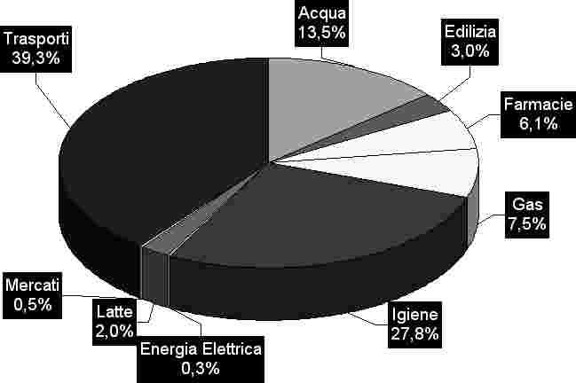 3 Composizione per settori La distribuzione percentuale delle diverse grandezze nei nove settori è illustrata nella tabella 3.1.