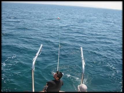 Figura 3: Rete Manta (Foto A. Camedda Cnr IAMC Oristano) Modalità di campionamento.