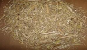 Materiale tal quale (% s.s.) Composition Arundo (%) b Miscanthus (%) Saccharum (%) a Glucan 34.60±0.14 40.99±0.06 36.81±0.13 Xylan 20.41±0.02 19.98±0.06 21.53±0.04 Galactan 0.66±0.06 0.57±0.07 0.72±0.