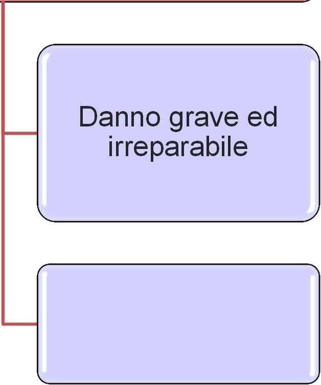 Danno grave ed