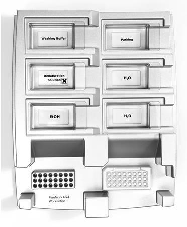 Figura 2. Posizionamento della piastra per PCR (o delle strisce) e della piastra PyroMark Q24 sulla stazione del vuoto. 4. Applicare il vuoto allo strumento accendendo l interruttore del vuoto. 5.