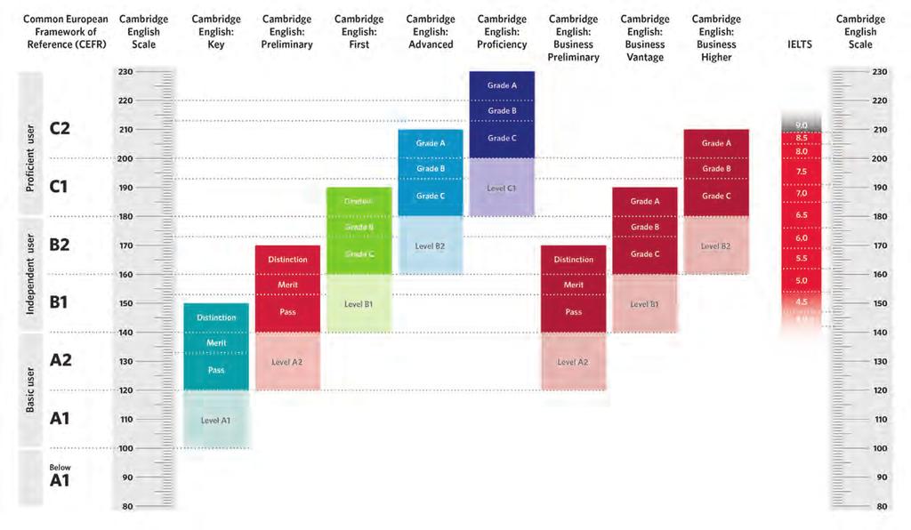 La Cambridge English Scale Cambridge English ha implementato un nuovo modo di illustrare gli esiti degli esami in maniera più chiara e immediata, per poter offrire maggiori informazioni sui risultati