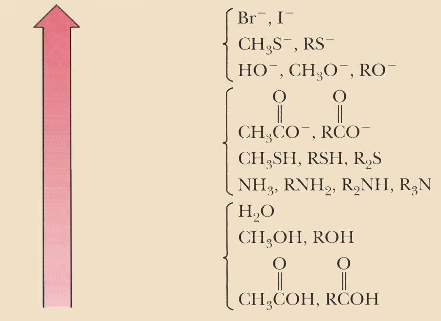 A) Struttura del Nucleofilo Efficacia come nucleofilo