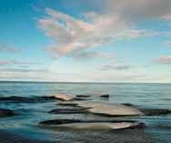 trasferimenti Visita orientativa di Churchill 6-8 ore escursione Hudson Bay 3 ore tundra tour 3 ore escursione in barca Guida parlante inglese - Tasse e documentazione di viaggio Voli dall Italia per