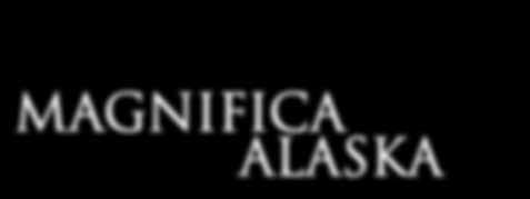 ingresso all University of Alaska Museum of he North Ingresso al Museo di Valdez & Archives di Valdez Facchinaggio negli hotel di un collo per persona Tasse e percentuali di servizio in Alaska