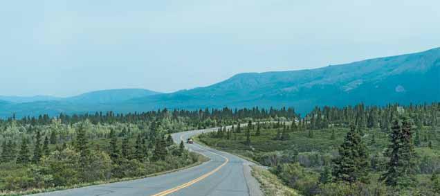 NOLEGGIO AUTO Tour individuale SELF DRIVE 8 giorni Denali National Park Condizioni generali di noleggio Età minima: l età minima richiesta è 20 anni (con la patente valida da almeno un anno).