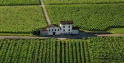 Rotaliana. Maso Toresella, Chardonnay affinato in barrique, è prodotto in 6 ettari di vigneto sul lago di Toblino.