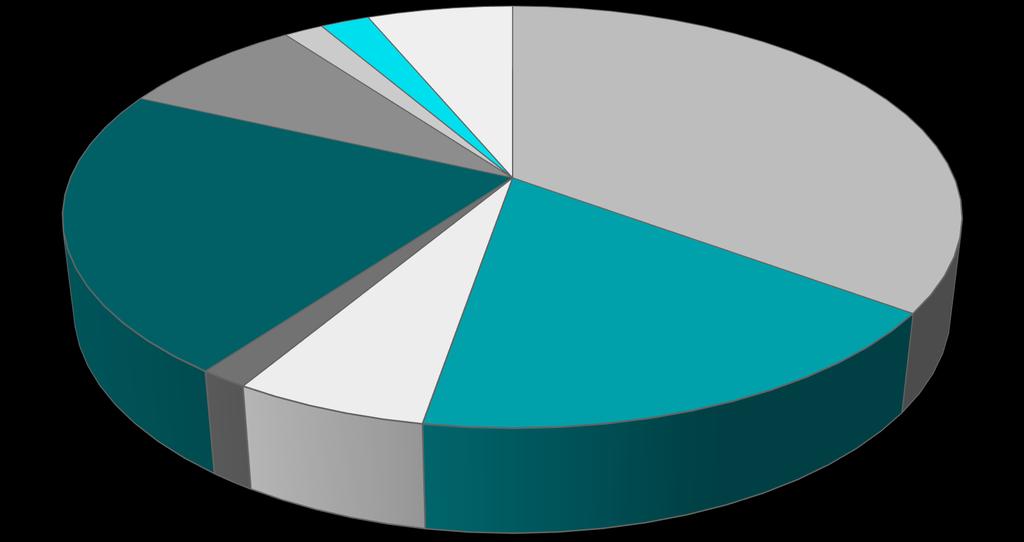 COMPOSIZIONE SOCIETARIA La società è stata fondata nel 1971 da un partenariato pubblico privato Capitale sociale: 22.436.