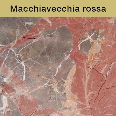 rosso-violaceo; i bioclasti sono articoli di Crinoidi e gusci di Brachiopodi che, in sezione trasversale, appaiono spesso riempiti di