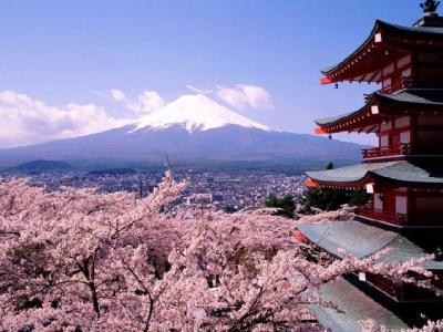 Eppure, anche a Tokyo, più facilmente nelle campagne, verso il mare, o nella splendida cittadina di Kyoto, si può respirare l atmosfera del passato ed ammirare templi e rappresentazioni di