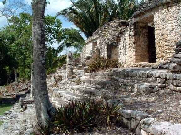 architettonico di Chenes e di Rìo Bec. 4 GIORNO, Chicannà - Palenque (480 Km) Visita del parco di Calakmul.