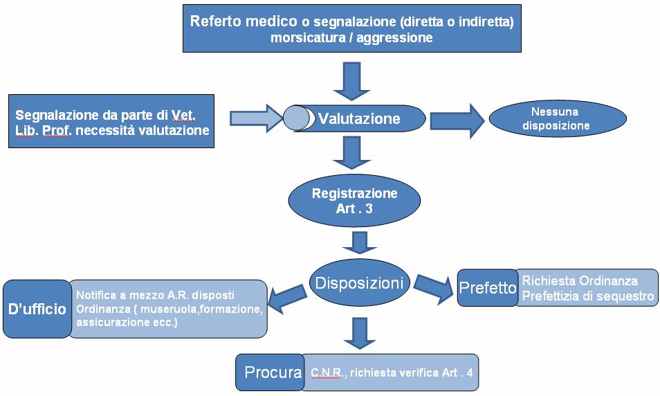 Diagramma di flusso profilassi rabbia valutazione Art. 3 O.