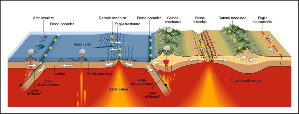 8.7 Dove avvengono i terremoti I terremoti si verificano solo in corrispondenza di determinate zone della superficie terrestre, mentre in altre aree sono praticamente assenti.