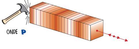 LE ONDE SISMICHE Le onde sismiche o elastiche si suddividono in P (primae - longitudinali) e S (secundae - trasversali).