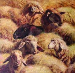 Gregge di pecore (già nell'ovile ) 30047 cm 90 90, olio su tela, cornice: legno scuro Esposizioni: Roma,