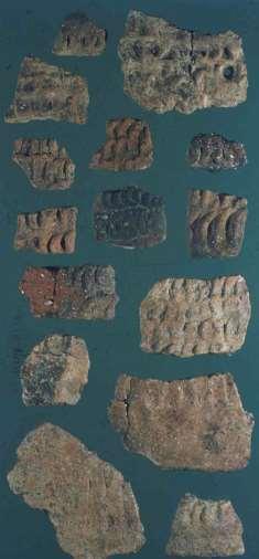 La ceramica a squame Distribuzione della ceramica a Squame in Italia Frammenti ceramici caratteristici decorati a squame relativi alla fase di Insediamento eneolitico: si tratta di una classe