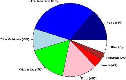 Within Eukaryota: Category sequences (% of Eukaryota) (% of the complete database) Human 17659 (14%) (6%) Other Mammalia 39128 (31%) ( 14%) Other