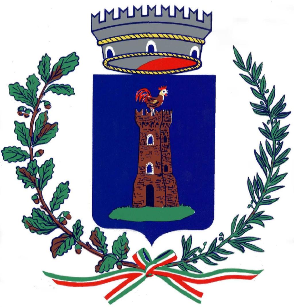 COMUNE DI RIOLUNATO (Provincia di Modena) REGOLAMENTO