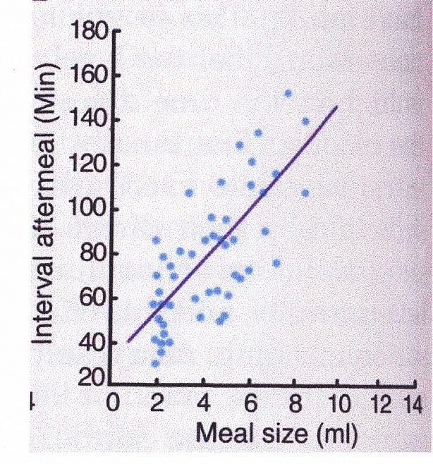 Quantità di cibo Intervallo tra i pasti