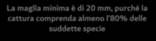 Con quale maglia minima possono essere pescate acciughe e sardine con reti da traino?