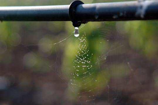 Dopo alcune ore l'eventuale colorazione delle pareti del water, o dell'acqua sul fondo, segnalerà eventuali perdite.