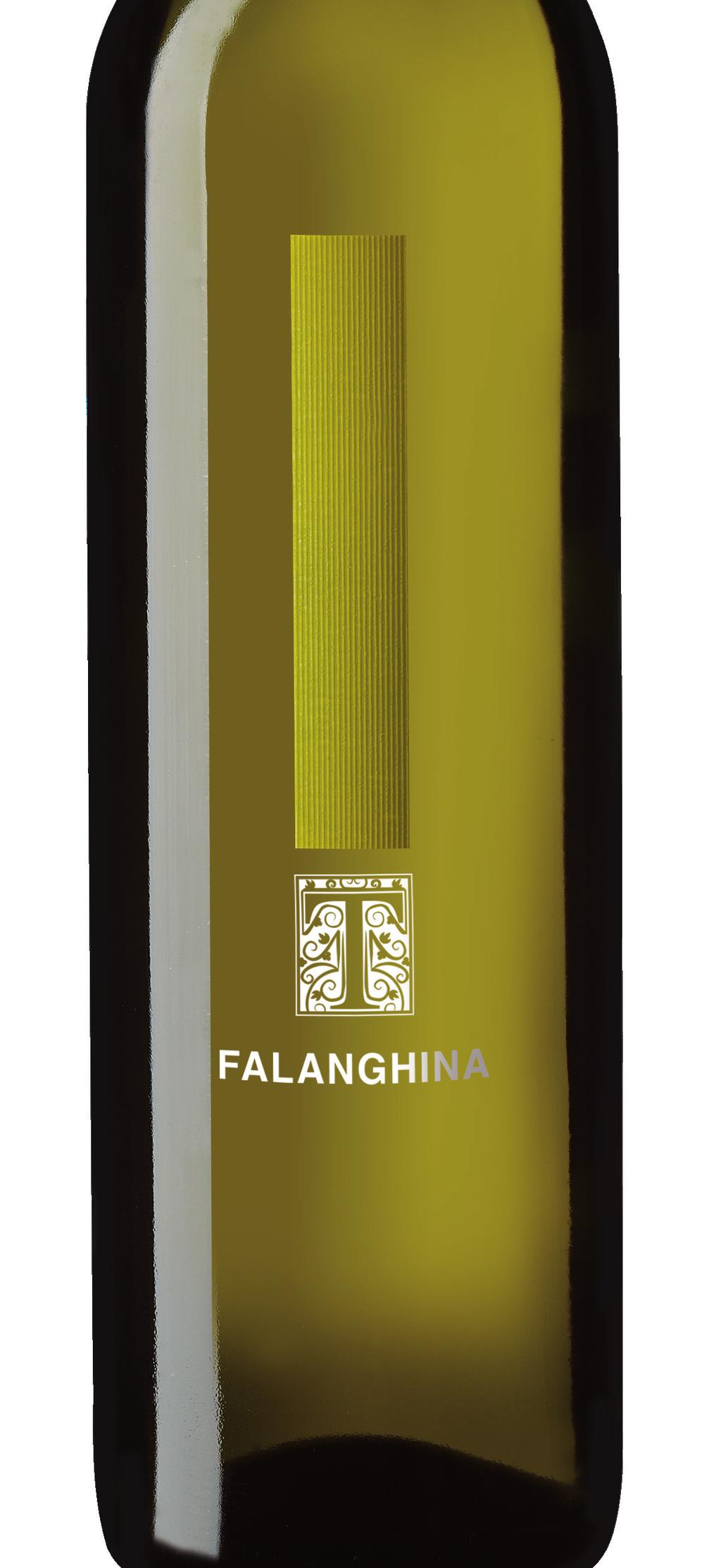 BENEVENTANO INDICAZIONE GEOGRAFICA TIPICA FALANGHINA CAMPANIA AGLIANICO INDICAZIONE GEOGRAFICA TIPICA ROSSO Varietà: Aglianico 100% Denominazione: IGT Campania Zona di Produzione: Colline Torrecusane