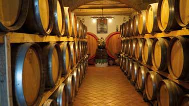 Qui la naturalità del processo produttivo, più che un vincolo da rispettare, è il mezzo che consente di esaltare la riconoscibilità dei vini con la consapevolezza che la qualità del vino nasce in