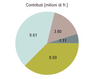 13 / 22 Analisi nel dettaglio Le seguenti osservazioni si riferiscono esclusivamente ai versamenti effettuati nel 2010.