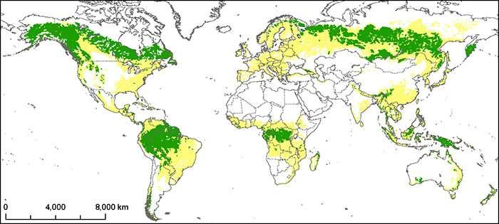 Foreste temperate e biodiversità Le foreste delle zone temperate sono le più ridotte in estensione ed alterate a livello globale: coprono il 30-35% 35% della loro estensione potenziale contro il 45 e