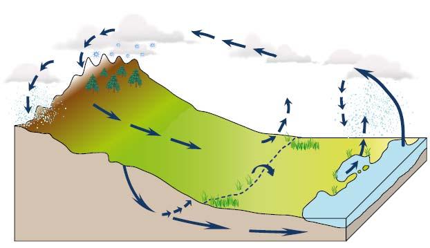 IL CICLO DELL ACQUA P R Et P = Et + R + I I P Et R I