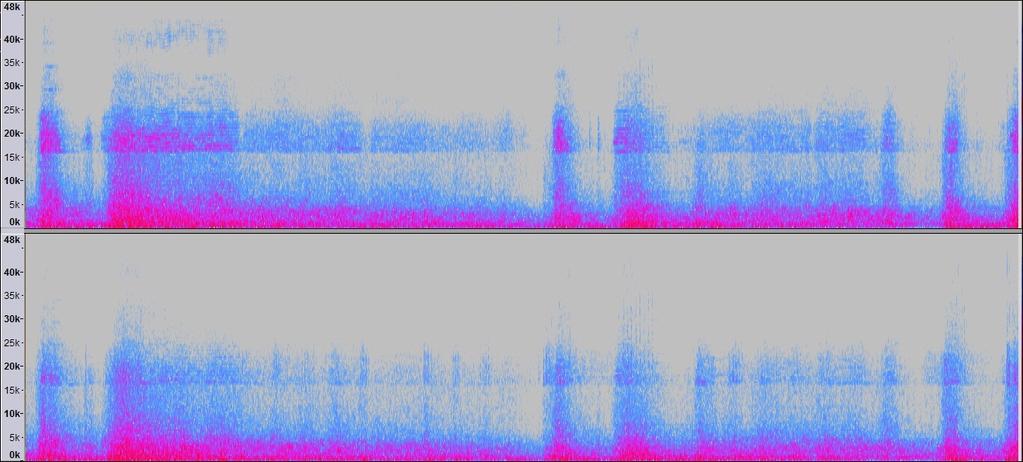 4.3.2 EXP_1 - FLAC VS MP3 Qui si seguito il medesimo confronto di forma d'onda in audacity, amplificata, zoom estremo e allineato.