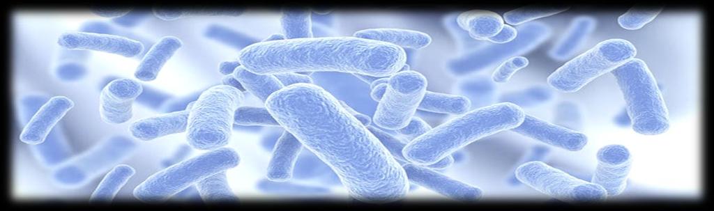 DISINFETTANTI SPECIFICI DISINFETTANTI TRATTAMENTO LEGIONELLA PER CIRCUITI IDRICI CILLIT-ALLSIL SUPER 25 Ag FERROCID 5280 S CLORO LIBERO 60% Il CILLIT-ALLSIL