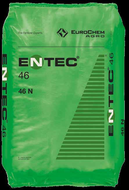 500 Entec 46 è un concime azotato contenente azoto ureico interamente stabilizzato con l inibitore della nitrificazione 3,4 DMPP.
