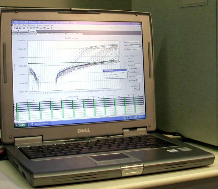 utilizza un solo ciclo di PCR sensibile: rileva fino ad 1